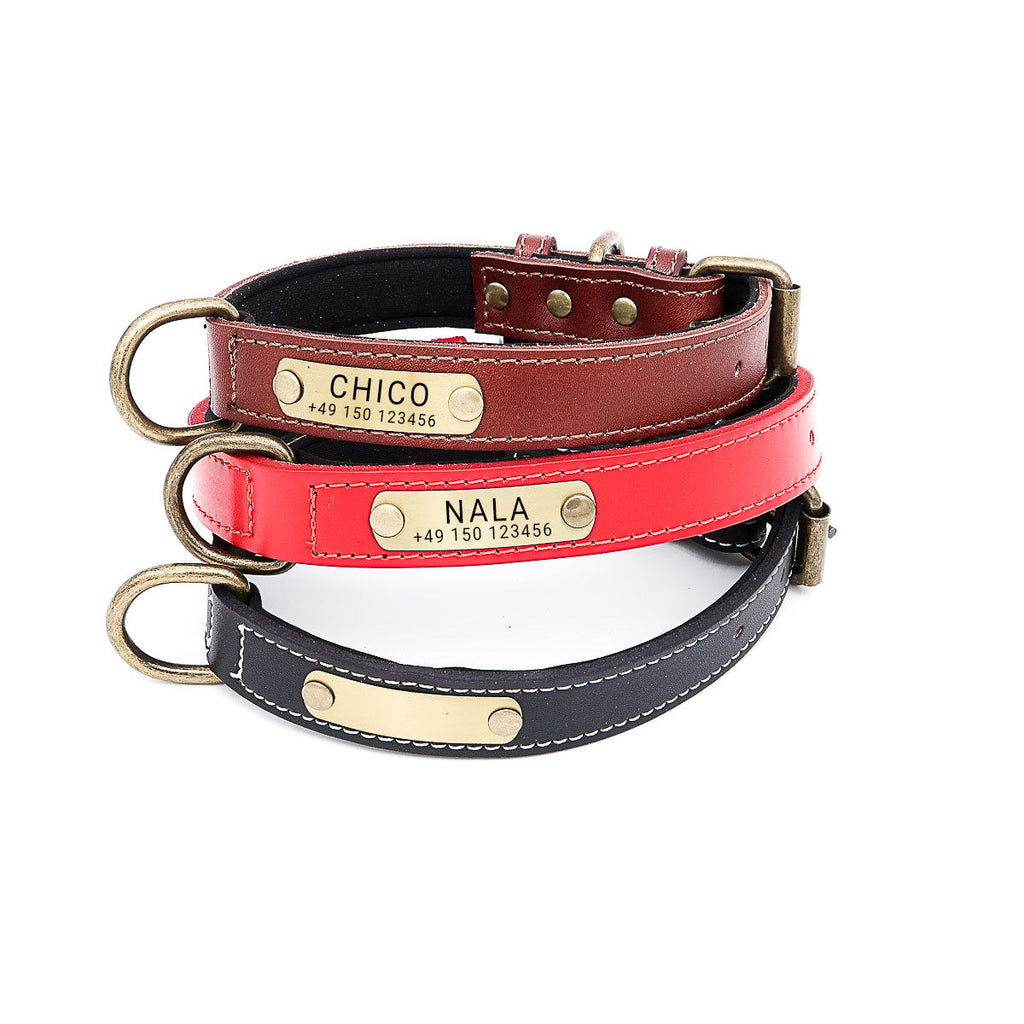 Hundehalsband mit Namen auf Messingschild aus hochwertigem Leder, Innenpolsterung aus Neopren, 2 massive D-Ringe