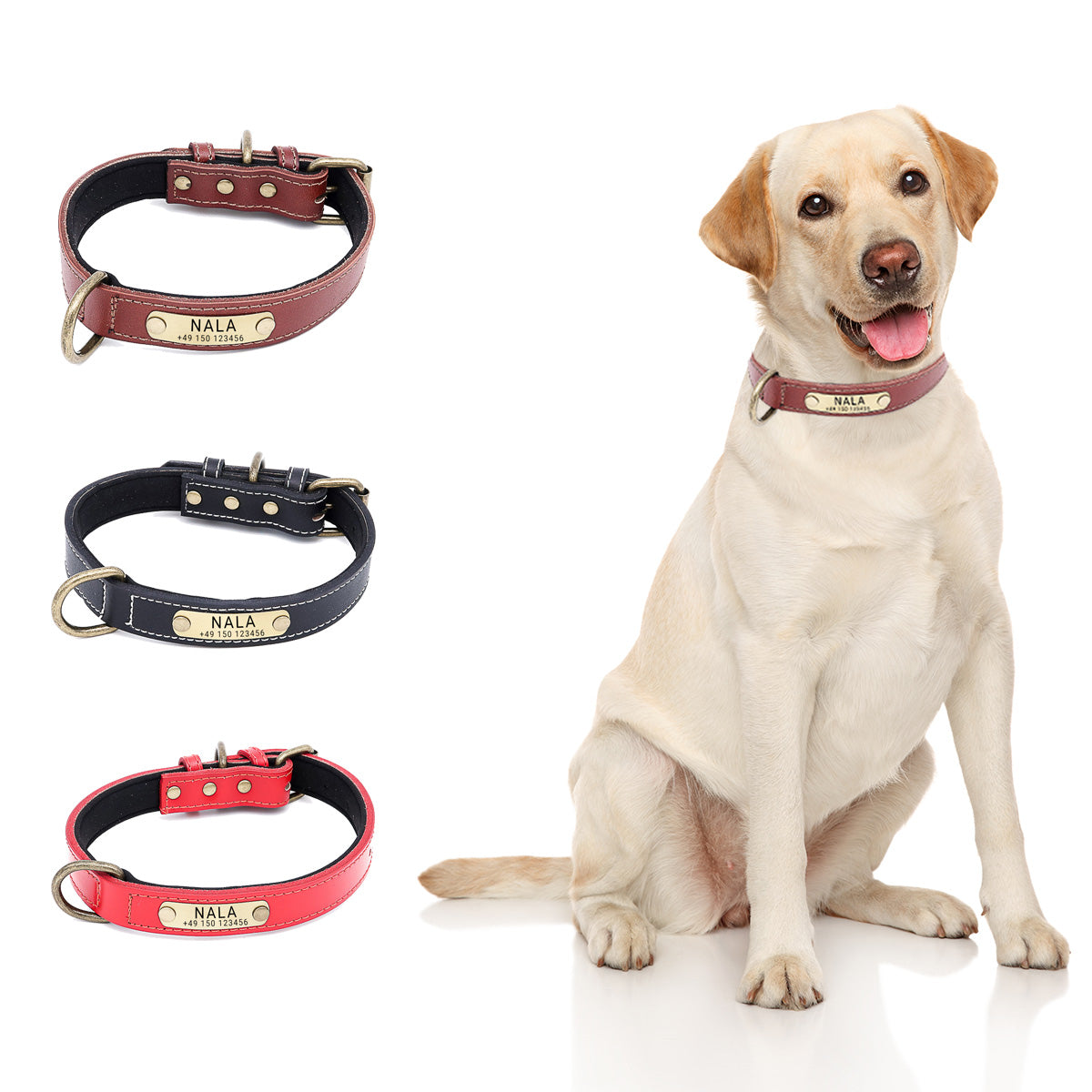 Hundehalsband mit Namen auf Messingschild aus hochwertigem Leder, Innenpolsterung aus Neopren, 2 massive D-Ringe