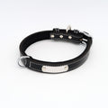 Hundehalsband mit Namen aus hochwertigem Leder, Innenpolsterung aus Neopren, 2 massive D-Ringe
