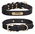 Echtleder Hundehalsband mit Messingschnalle in vier Farben und gratis Gravur Name und Telefon
