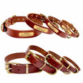 Leder Hundehalsband mit goldfarbener Marke, Gravur Name und Telefon