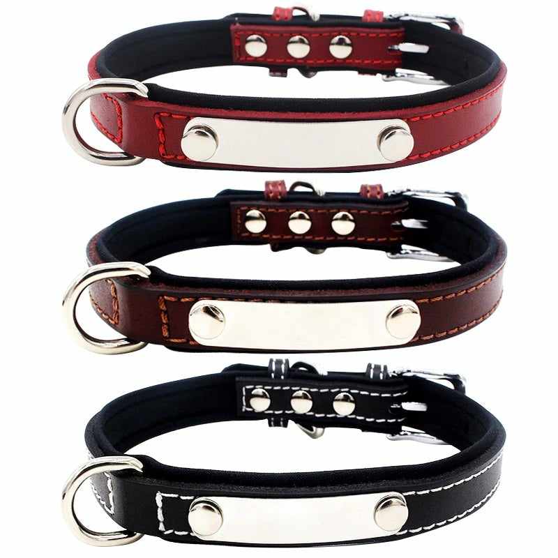 Hundehalsband mit Namen aus hochwertigem Leder, Innenpolsterung aus Neopren, 2 massive D-Ringe