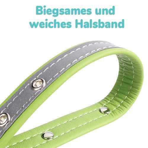 Hundehalsband mit Namen und Telefon graviert. Reflektierend